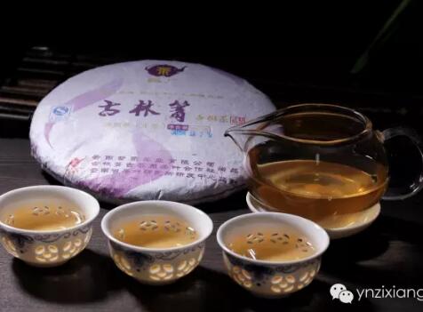 古林箐 ● 古树茶茶叶发布会及新品拍卖会