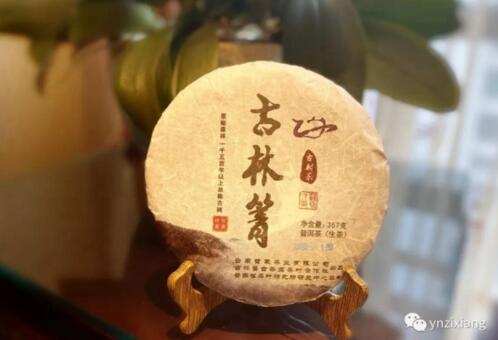 当疫情过后，春暖花开时，让我敬你一杯茶