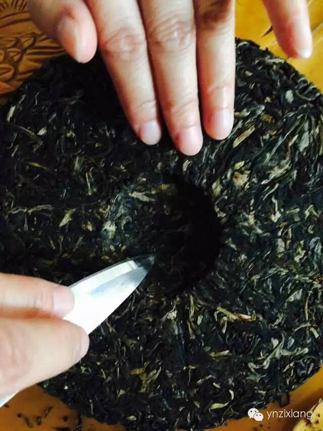 古树茶的冲泡方法